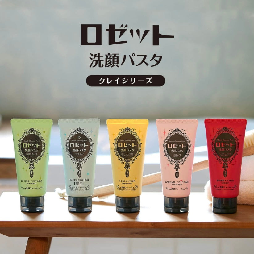 ROSETTE Clay Cleansing Paste : Anti-Wrinkle RED version (120g) | Japanese skincare | FREYA - Asian Beauty Secret