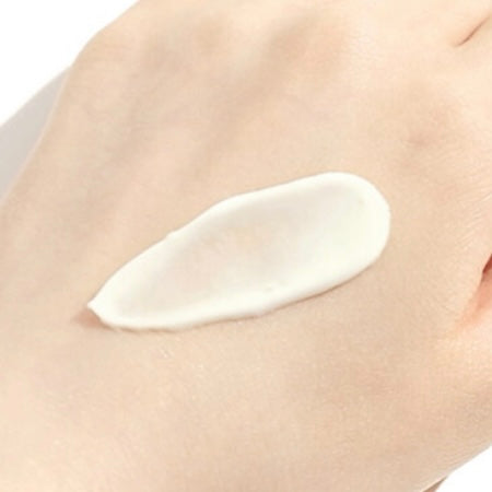 ROUND LAB Birch Juice Moisturizing Sun Cream SPF50+ PA++++ (50ml) | Korean skincare | FREYA - Asian Beauty Secret